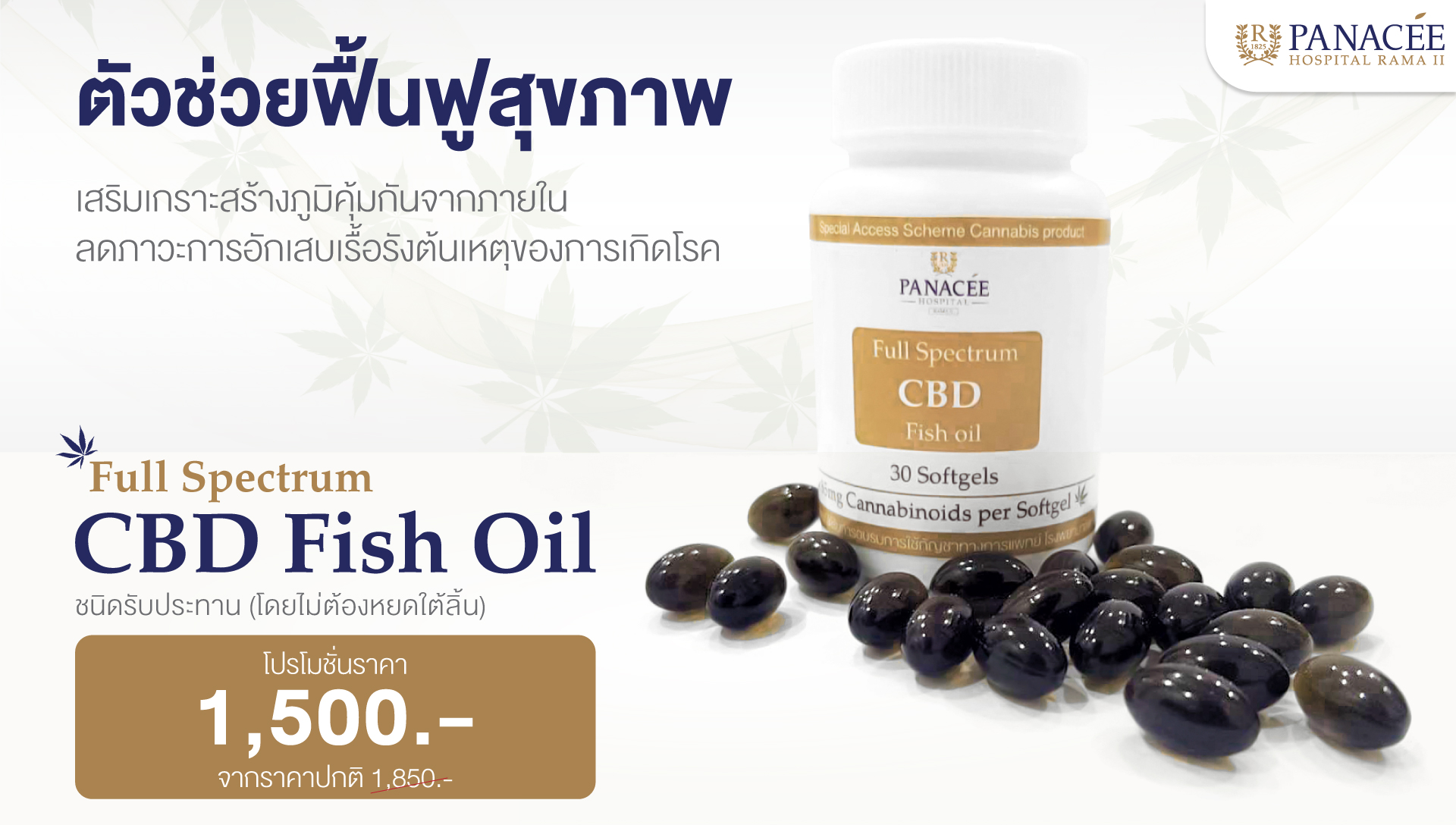 Full Spectrum CBD Fish Oil ตัวช่วยฟื้นฟูสุขภาพเสริมเกราะสร้าง ...